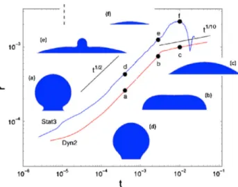 Fig. 15. Effect of the contact angles model on the time evolution of the drop base radius r for h S ¼ 10  and Oh ¼ 0:053 ð l ¼ 0:01 Pa s; r ¼ 0:072 N=m; q ¼ 10 3 kg=m 3 and R 0 ¼ 0:5 mm)