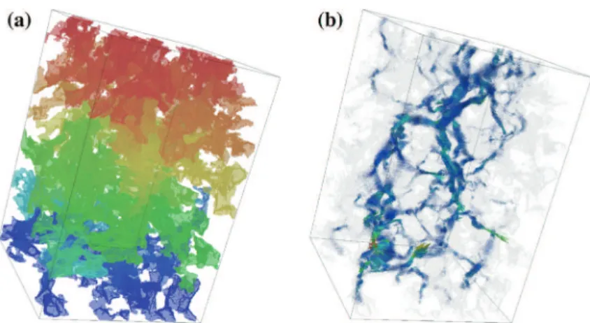 Fig. 6 Illustration of a pressure and b velocity vector field obtained on the considered sample in the config- config-uration 1 with initial image refinement