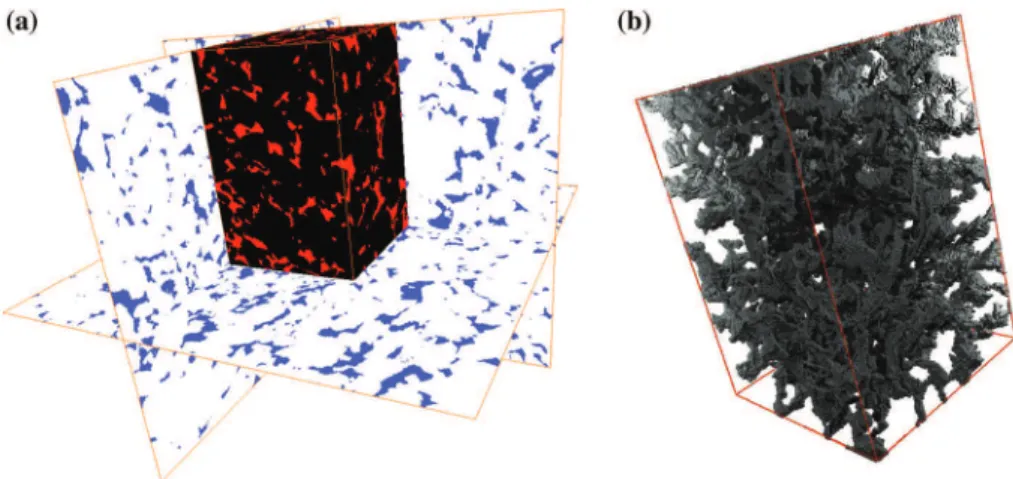 Fig. 2 Visualization of a original core plug imaged and b considered sub-sample