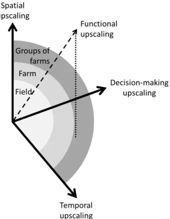Figure 3: Diagram of spatial, temporal, decision-making and functional upscaling 