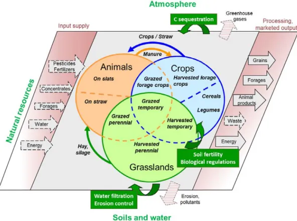 Figure 1  Biophysical  components, k ey  material  flows and k ey  ecosystem  services i n  an I ntegrated  Crop-Livestock Sy stem