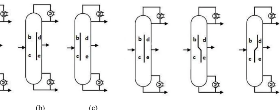 FIGURE 2.8 Different position of dividing wall  FIGURE 2.9 Different shape of dividing wall 