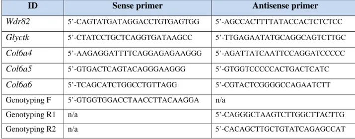 Table S3. Characteristics of the primary and secondary antibodies used in this study 