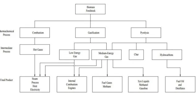 Fig. 2. Principal processes, intermediate energy carriers and final products in  thermochemical conversion of biomass (McKendry, 2002)