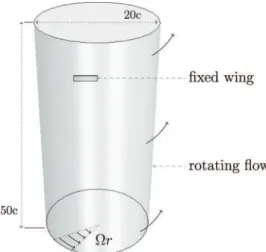 FIG. 1. Illustration of the numerical setup. The fixed wing is modeled as a nonslip wall and embedded in a rotating (rigid body motion) flow