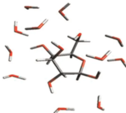 Fig. 6. Equilibrium arrangements of 2 functionalized monomers neutralized by 1 Ca 2 þ around the hydrated glucose.