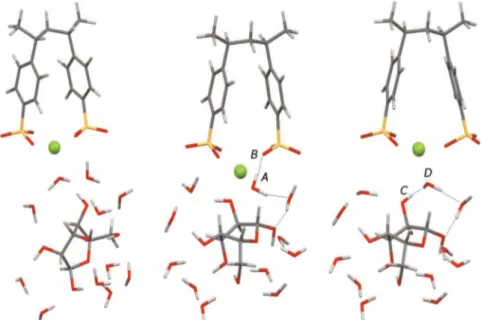 Fig. 8. Optimized geometry of macromolecular model formed by two polymer fragments equilibrated by Na þ .