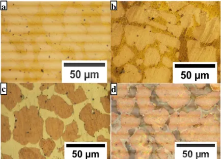 Figure 8. Optical microscope observations of the α,β’ brass CuZn40Pb2 after interrupted  anodic  polarization  tests  in  a  0.5  M  NaNO 3  solution  (a)  before  breakdown  potential  (20  mV.SCE),  pH  11  (b)  after  breakdown  potential  (50  mV.SCE),