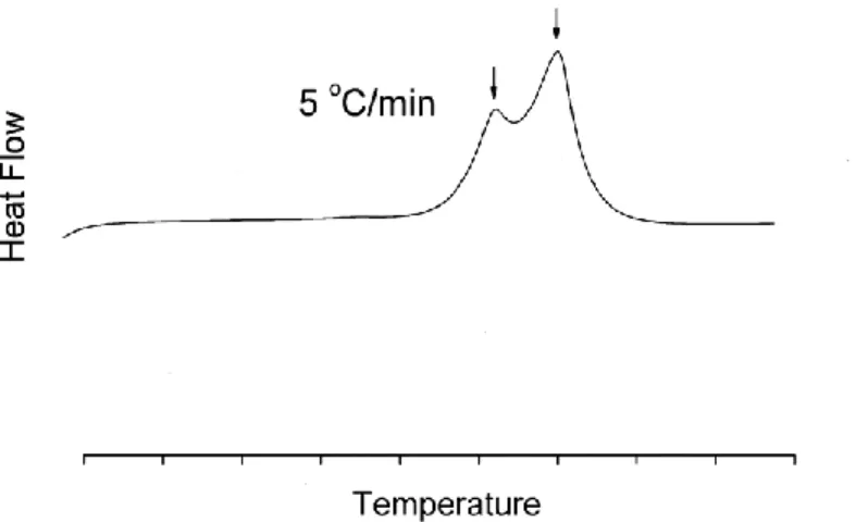 Figure 1.15   Thermogramme DSC : double pic de cristallisation du PLA [M. Naffakh, C.  Marco, G