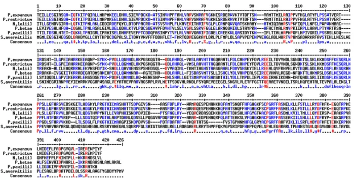 Figure 1 Multiple sequence alignment of the predicted amino acid sequence: The top two rows represent the amino acid sequence of cyto- cyto-chrome P450 from geosmin-producing P