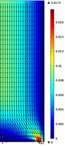 Figure 19. Velocity ﬁeld WITHOUT Buoyancy force.