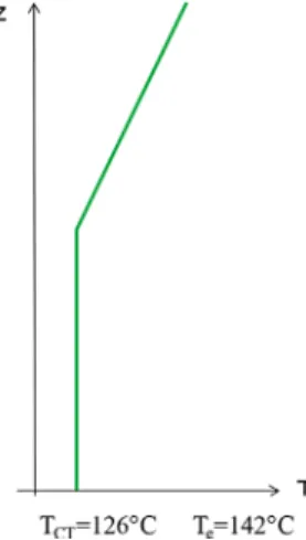 Figure 12. Localization of the impurities on EPINAR experimental test.