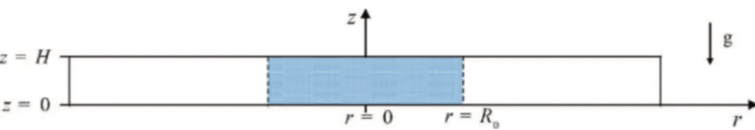 Fig. 1. Side view of the initial setup of the cylindrical lock-exchange flow inside a rectangular box of size L x × L y × H = 30 × 30 × 1