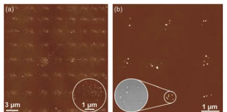 Fig.  2  (a)  AFM  image  of  an  array  of  64  spots  obtained  with  a  NADIS  tip  with  a  diameter  of  760  nm;  inset:  zoom  on  one  spot