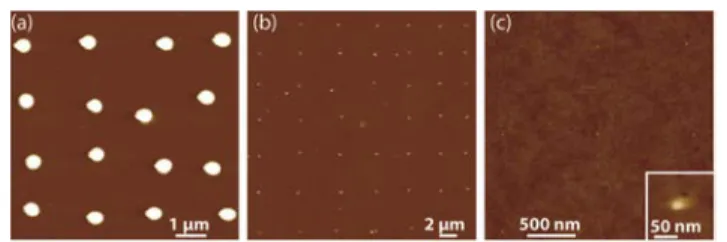 Fig.  5  AFM  images  of  proteins  arrays  (a)  monomeric  mStrawberry  proteins  deposited  with  a  hydrophobic  760  nm  NADIS  tip;  inset:  zoom  on  one  spot  showing an island like deposit