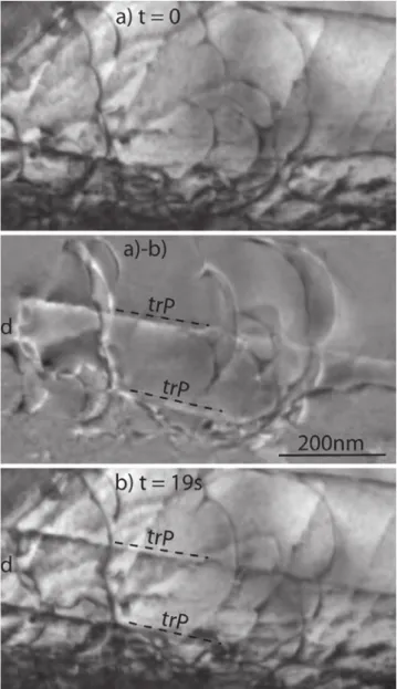 Fig. 10. Fast motion of dislocation d with a high Schmid factor (corresponding slip traces trP), compared to the slow motion of the other dislocations with a lower Schmid factor