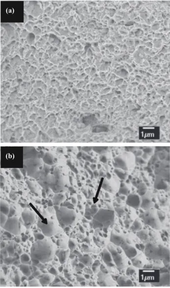 Fig. 5 SEM images of the fracture surfaces of SG (a) and SWC (b). Different detectors of secondary electrons were used: detector in the objective lens (a) and in the microscope chamber (b)