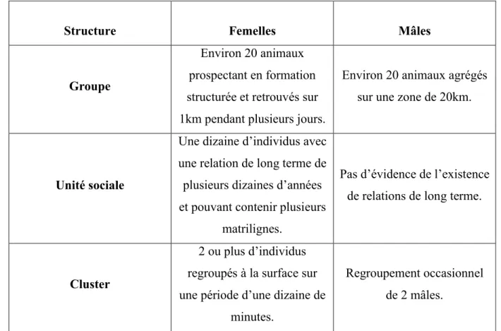 Table 5 : Différences de structure sociale entre mâles et femelles (Letteval et al. 2002) 