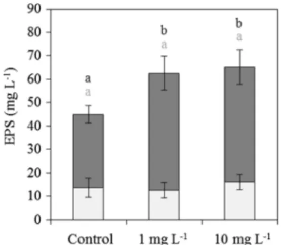 Fig. 2 – Results of the assays measuring total amounts of carbohydrates (anthrone test) and protein-like polymers (BCA test) depending on the DWCNT concentration