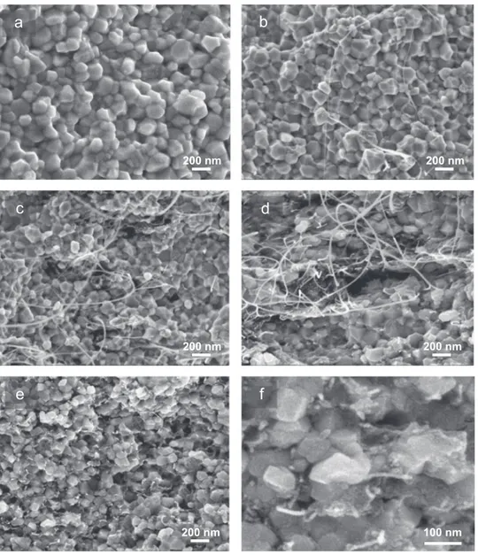 Fig. 3. SEM images of the fracture surfaces of sintered samples: C0 (a), C1 (b), C2 (c), C6 (d –f).
