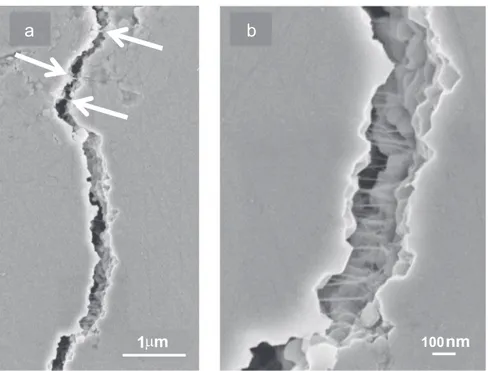 Fig. 4. SEM images of a crack made by Vickers indentation using a high load (2 kg) on C2: DWCNTs or DWCNT bundles bridging the crack in several areas (a); detail of the crack-bridging at a higher magni ﬁcation (b).