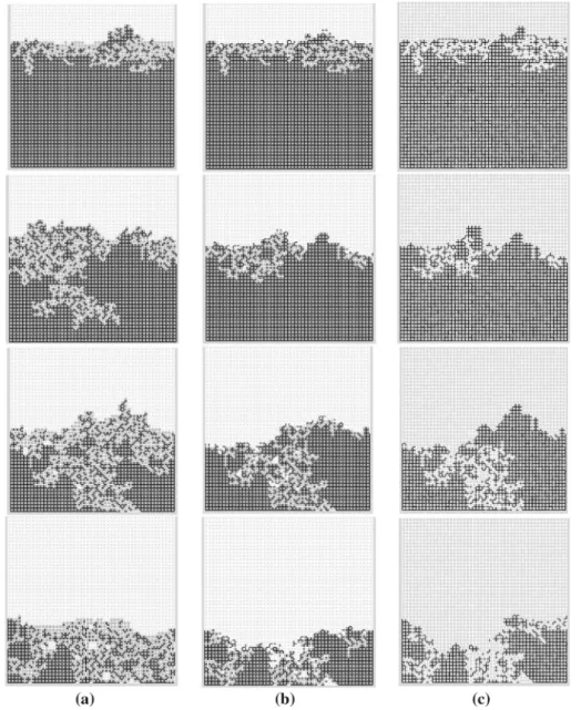 Fig. 14 Impact of ring interconnection: Phase distributions from drying with option CLO2 (i.e