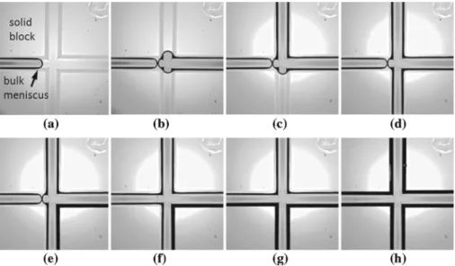 Fig. 5 CLSM images prove the existence of disconnected liquid film rings inside channel edges (identifiable as thin grey films) during drying of the pore network