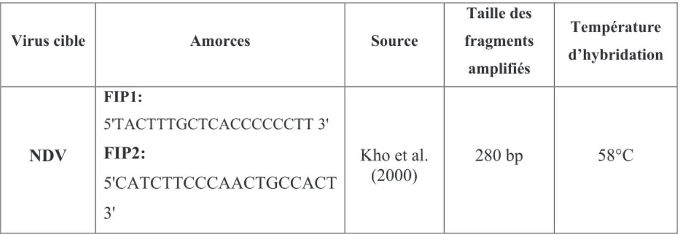 Tableau 6 : Amorces utilisées pour la PCR de contrôle