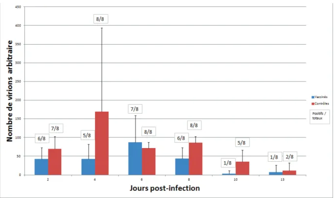 Figure 15 : Suivi de la charge virale après épreuve virulente, chez les oiseaux vaccinés (en  bleu) et non vaccinés (en rouge)