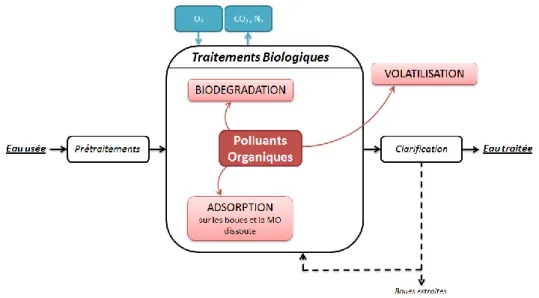 Figure 4 : Principe et mécanismes principaux d'élimination des polluants organiques dans un réacteur biologique