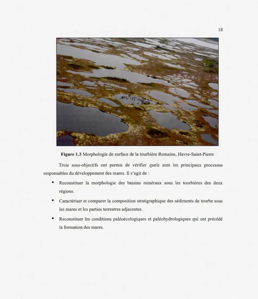 Figure 1.3  Morphologie de  surface de  la  tourbière Romaine, Havre-Saint-Piene  Trois  sous-objectifs  ont  permis  de  vérifier  quels  sont  les  principaux  processus  responsables du  développement des  mares 