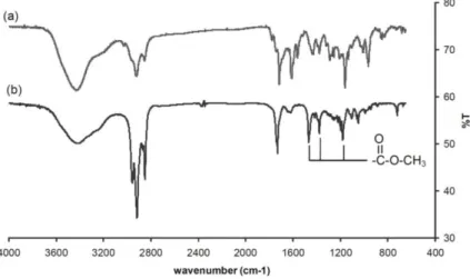 Fig. 5. FTIR spectra for annatto extract (a) and pure bixin (b) 