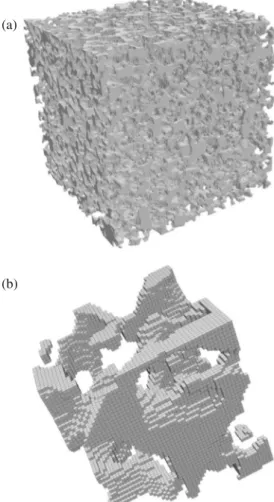 Fig. 3 Visualization of the pore-space meshed from binary image: a the full sample (300 3 voxels) and b centered sub-volume (50 3 voxels)