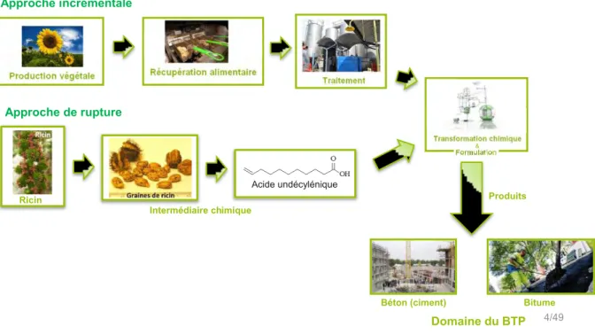 Figure I-1 : Deux approches de valorisation des agroressources oléagineuses dans le projet AGRIBTP