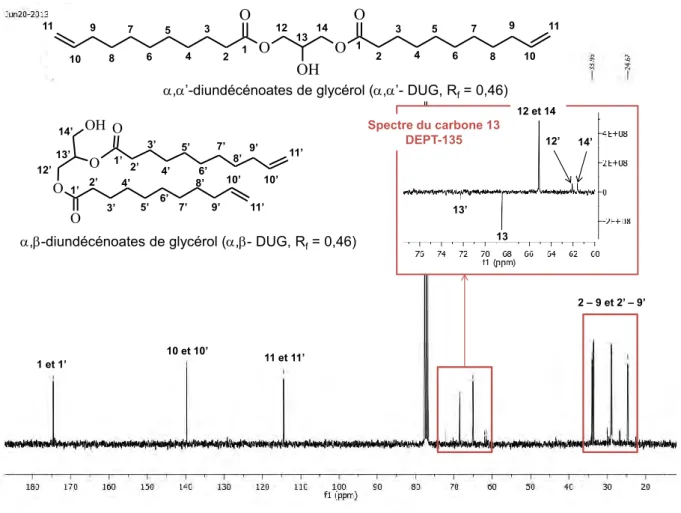 Figure II-19 : Analyse RMN du carbone 13 et carbone 13 DEPT-135 (encadré orangé) dans du chloroforme deutéré du   ’-DUG  et du α,β-DUG