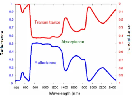 Figure 1 : Spectre de réflectance et de transmittance d’une feuille fraîche de trèfle des prés  (Jacquemoud et al., 2009)