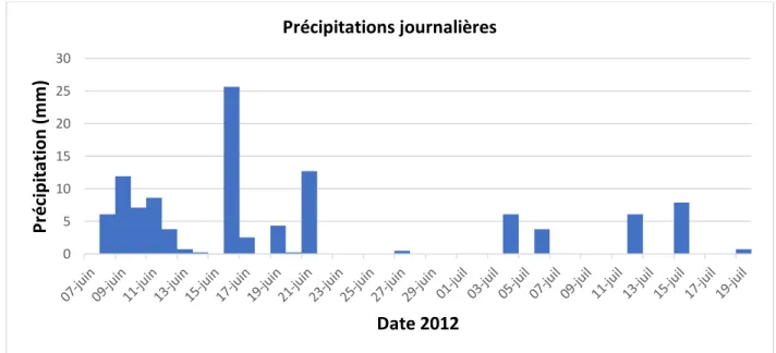 Figure 15 : Histogrammes des précipitations journalières enregistrées par la station Agrotek  Carman de Weather Farmer