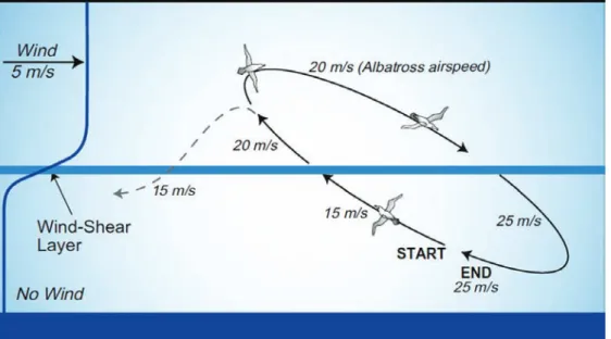 Figure 4. Overall dynamic soaring pattern and principles, from [17]. The wind profile given in the figure is not realistic but just depicts the significance of the zone of wind shear.