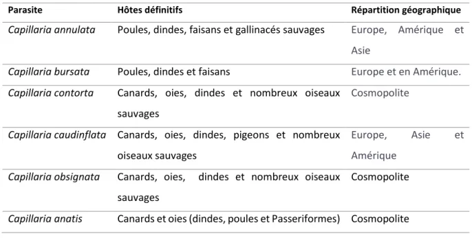 Tableau  5  :  Espèces  de  Capillaria,  spectres  d'hôtes  et  répartition  géographique  ((Guérin,  Balloy,  Villate  2012;  Atkinson,  Thomas, Hunter 2008) 