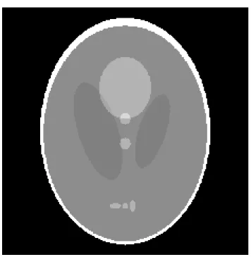 Figure 4.1 – Mire Shepp-Logan pour la TDM