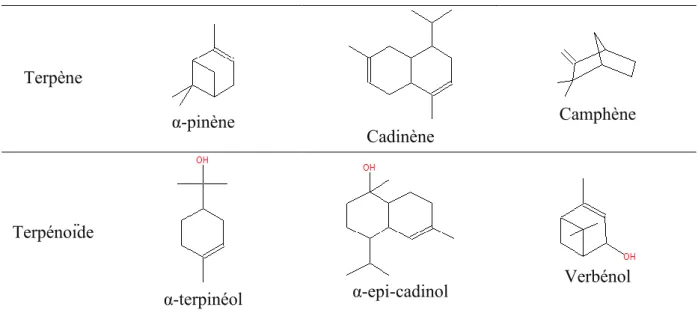 Figure 1.12. Exemples de terpènes et terpénoïdes couramment présents dans les bois. 