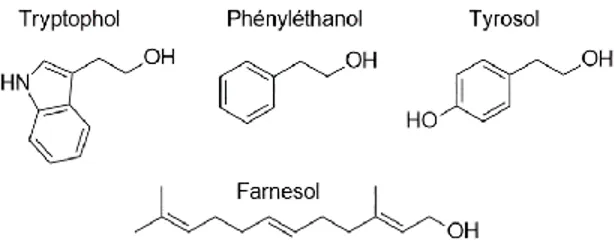 Figure 10. Molécules de signalisation régulant la détection du  quorum chez Candida albicans 