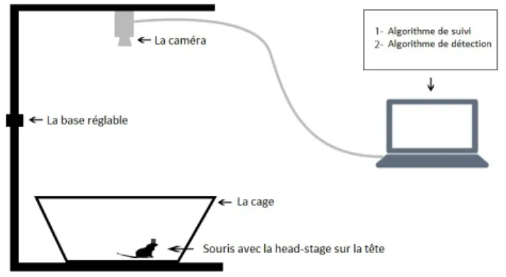 Figure 3.1 – La caméra sur le dessus de la cage et un ordinateur portable qui lit la vidéo image par image et traite les images pour déterminer la position et le comportement de la souris.