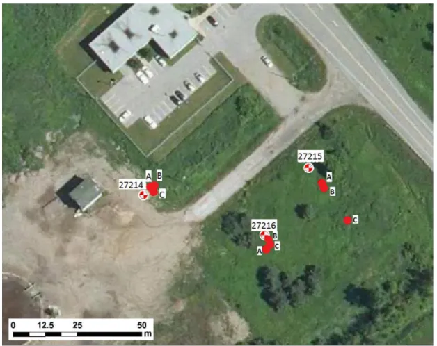 Figure 15. Carte de localisation des puits hydrauliques sur le site d’étude (Fond de carte :  Bing, 2019)