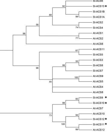 Figure 2. Phylogenetic tree of tomato and Arabidopsis ACS. The phy- phy-logenetic tree was inferred using the neighbor-joining method