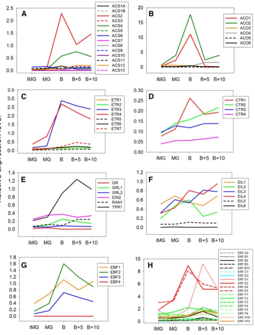 Figure 3. Expression data of ethylene biosynthesis and signaling genes during fruit ripening extracted from public databases and processed using the TomExpress platform