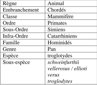 Tableau I. Classification taxonomique du chimpanzé commun (Groves, 2005a)