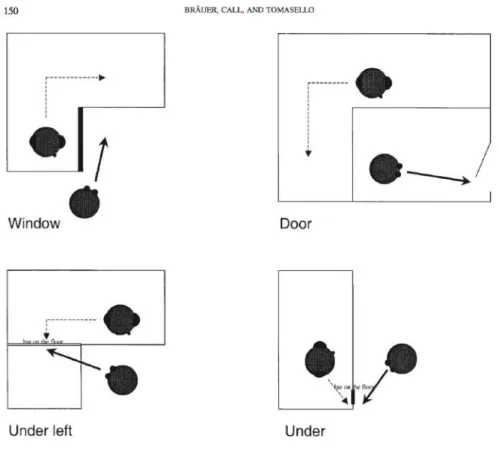 Figure 13 : Diagramme des quatre conditions expérimentales utilisées dans l’étude de  Bräuer et collaborateurs (2005) 