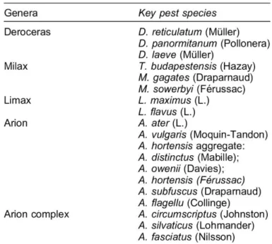 Figure  9 :  Principales  espèces  de  limaces  rencontrées  en  agriculture.  D’après  Howlett  (2012)