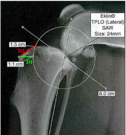 Figure 19 : Planification préopératoire d’une TPLO sur un chien utilisant le logiciel Elkin©  35  Sur ce cas, une lame de 24mm de rayon est nécessaire 